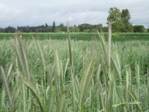 IMG_0197